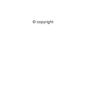copyright
